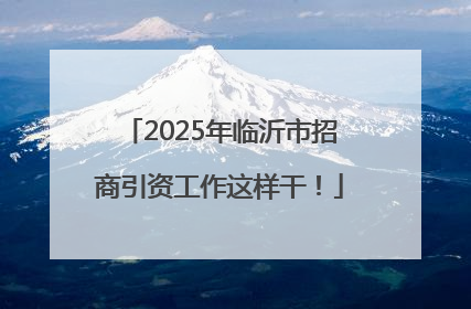 2025年临沂市招商引资工作这样干！