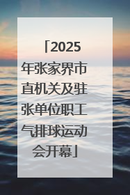 2025年张家界市直机关及驻张单位职工气排球运动会开幕