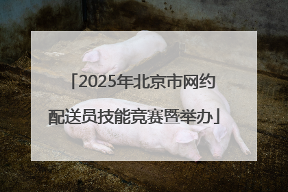 2025年北京市网约配送员技能竞赛暨举办