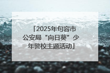 2025年句容市公安局“向日葵”少年警校主题活动