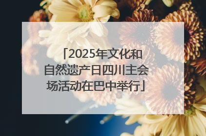 2025年文化和自然遗产日四川主会场活动在巴中举行