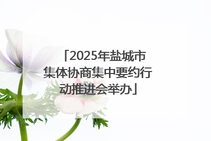 2025年盐城市集体协商集中要约行动推进会举办