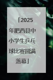 2025年肥西县中小学生乒乓球比赛圆满落幕