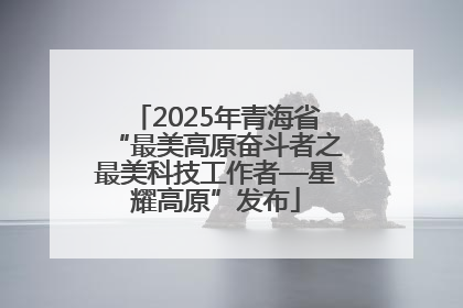 2025年青海省“最美高原奋斗者之最美科技工作者—星耀高原”发布