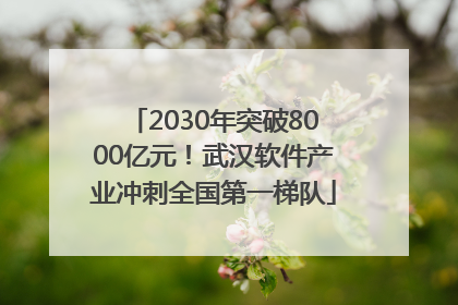2030年突破8000亿元！武汉软件产业冲刺全国第一梯队