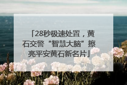 28秒极速处置，黄石交警“智慧大脑”擦亮平安黄石新名片