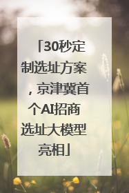 30秒定制选址方案，京津冀首个AI招商选址大模型亮相