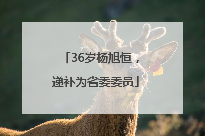 36岁杨旭恒，递补为省委委员