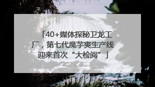 40+媒体探秘卫龙工厂，第七代魔芋爽生产线迎来首次“大检阅”