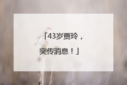 43岁贾玲，突传消息！