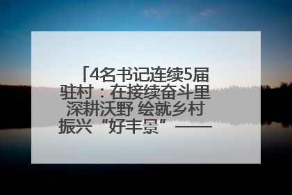 4名书记连续5届驻村：在接续奋斗里深耕沃野 绘就乡村振兴“好丰景”——浦发银行南京分行助力脱贫攻坚、帮促乡村振兴记事（二）