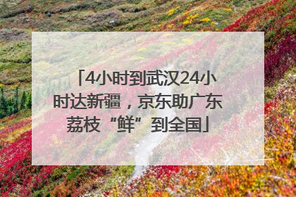 4小时到武汉24小时达新疆，京东助广东荔枝“鲜”到全国