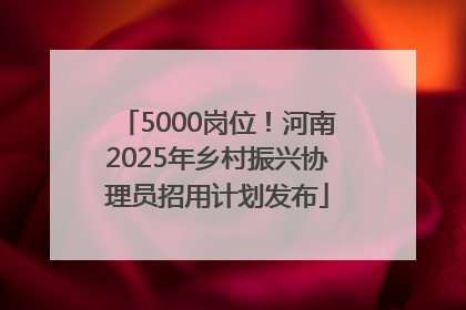 5000岗位！河南2025年乡村振兴协理员招用计划发布