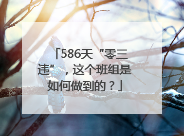 586天“零三违”，这个班组是如何做到的？