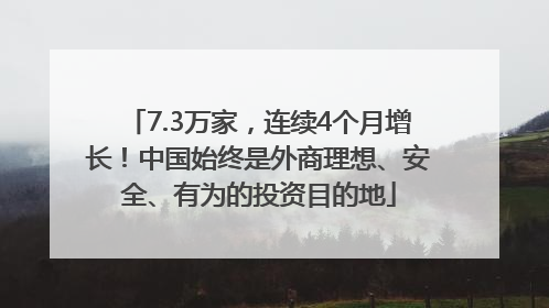 7.3万家，连续4个月增长！中国始终是外商理想、安全、有为的投资目的地