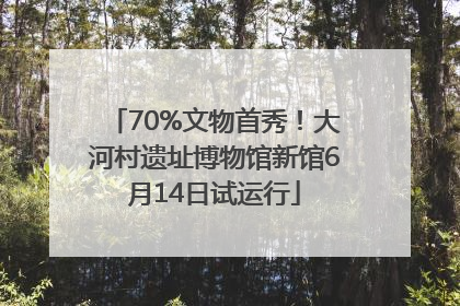 70%文物首秀！大河村遗址博物馆新馆6月14日试运行