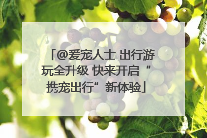 @爱宠人士 出行游玩全升级 快来开启“携宠出行”新体验