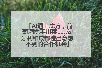 AI遇上魔方，葡萄酒携手川菜……匈牙利和成都碰出意想不到的合作机会